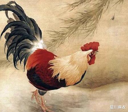 属鸡人人生中的几次姻缘:属鸡人一生中的几次姻缘,揭秘命理与情感的交织