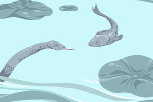 女人梦见掉了很多牙齿:女人梦见掉了很多牙齿,解析梦境背后的隐喻与心理暗示