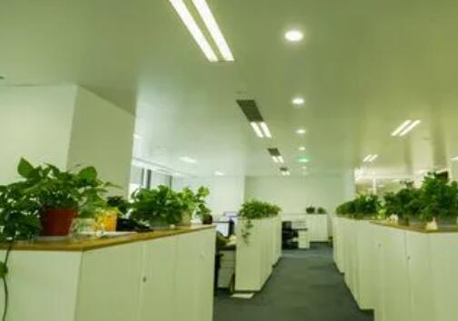 好听吉祥的公司名字大全:吉祥又好听的 station 大全,寓意美好、朗朗上口的公司命名指南