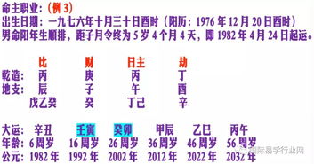 生命密码2025年流年运势：生命密码2025流年运势全解析，精准解读81种数字命理趋势