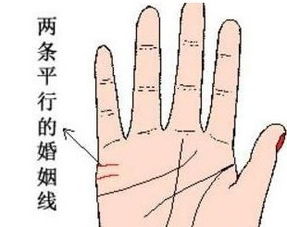 手相八卦看姻缘吗：手相八卦看姻缘吗？这些秘密你都知道吗？