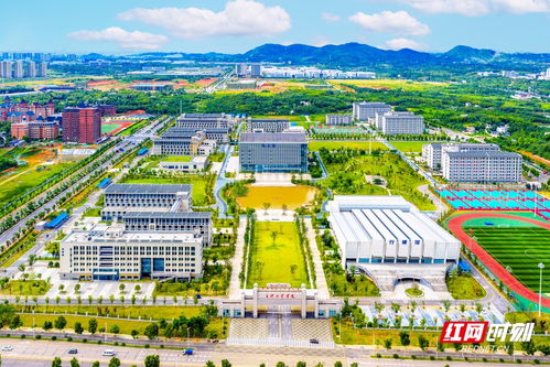 长沙工业学院2025录取（长沙工业学院2025录取多少人）