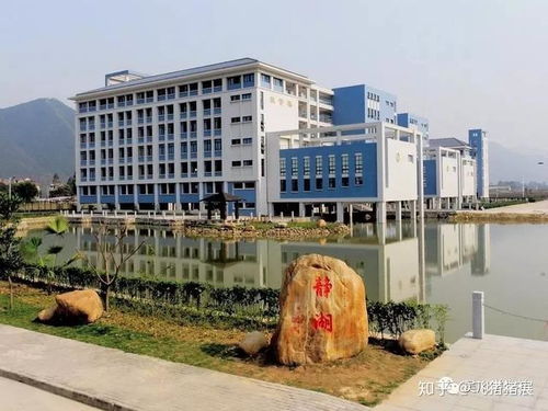 肇庆医学高等专科学校(邢晓辉肇庆医学高等专科学校)