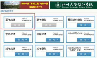 四川教育考试院官网入口(四川教育考试院官网入口查询)