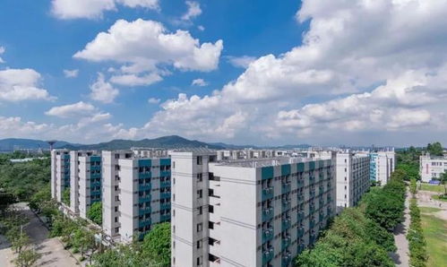 211吗（华南农业大学是211吗）