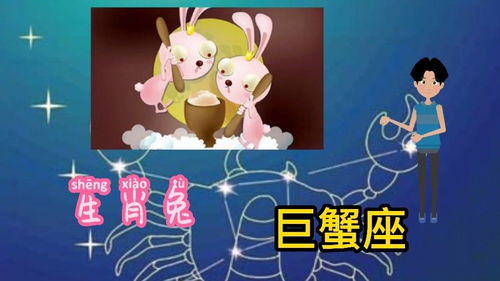 属兔的最佳配偶:属兔的最佳配偶,性格互补与情感契合的完美组合