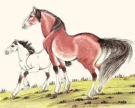 1990年属什么生肖几岁:1990年出生属马吗?年龄计算全解析,生肖与实际年龄的准确对照