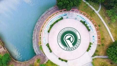 麦玲玲2024年运势测算免费:麦玲玲2024年运势终极指南,免费公开全年吉凶方位+事业爱情运程,附化解秘法!