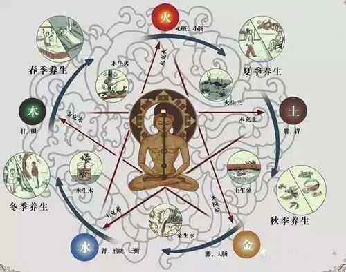五行相生相克图:五行相生相克图,解码中华五千年智慧的动态平衡密码 五行相生相克图:五行相生相克图,解码中华五千年智慧的动态平衡密码