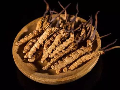 16万一斤最贵药材：16万一斤！天价冬虫夏草惊现市场，一斤顶普通虫草10年收入