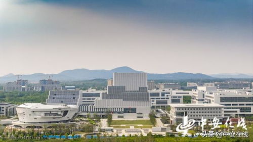 合肥理工学院是几本(合肥理工学校官网) 合肥理工学院是几本(合肥理工学校官网)