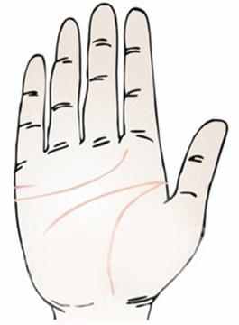 婚姻线怎么看几段姻缘:手相婚姻线深度解析,三重境界看透三段姻缘的玄机与智慧 婚姻线怎么看几段姻缘:手相婚姻线深度解析,三重境界看透三段姻缘的玄机与智慧