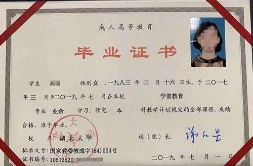 中山大学函授本科有哪些专业（中山大学函授大专专业）