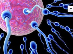 弱精症是什么原因造成:弱精症是什么原因造成?全面解析影响精子质量的五大因素 弱精症是什么原因造成:弱精症是什么原因造成?全面解析影响精子质量的五大因素