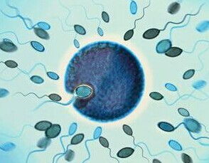 弱精症是什么原因造成:弱精症是什么原因造成?全面解析影响精子质量的五大因素 弱精症是什么原因造成:弱精症是什么原因造成?全面解析影响精子质量的五大因素