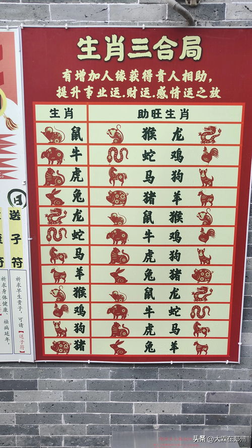 属蛇和属兔结婚吉日：属蛇与属兔结婚吉日全解析，传统婚配智慧助你幸福启航！