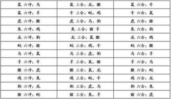 属蛇和属兔结婚吉日：属蛇与属兔结婚吉日全解析，传统婚配智慧助你幸福启航！