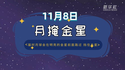 怎么看自己的金星是什么星座：解码金星星座，你的爱情观与审美密码
