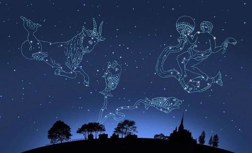 2月18是什么星座星座:2月18日是什么星座?水瓶座与双鱼座的分界日暗藏哪些人生启示? 2月18是什么星座星座:2月18日是什么星座?水瓶座与双鱼座的分界日暗藏哪些人生启示?