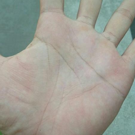 免费拍照看手相算命在线：免费在线算命新体验，3分钟拍照测手相，AI精准解读命运轨迹