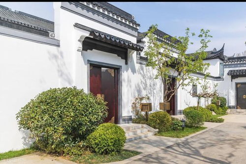 大门口放三样东西最旺:大门口放这三样东西,家运亨通财源广进!科学风水学解析 大门口放三样东西最旺:大门口放这三样东西,家运亨通财源广进!科学风水学解析