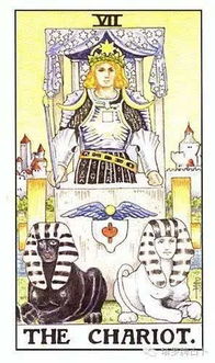 应该选哪一个塔罗牌好：塔罗牌选择指南，如何挑选最适合你的神秘工具