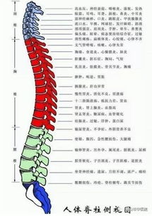 火疖子成熟的图片:火疖子成熟阶段的特征与图片解析,从形成到处理的完整指南 火疖子成熟的图片:火疖子成熟阶段的特征与图片解析,从形成到处理的完整指南