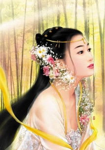 十二星座三大美女：十二星座的三大美女，风华绝代各具魅力