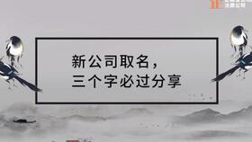 公司取名大全最新版的:2023公司取名大全最新版,创意命名技巧与行业趋势全解析(附实用工具)