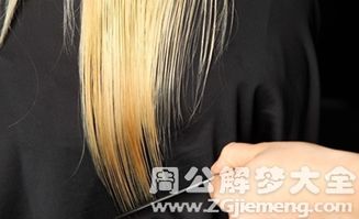 女人梦见剪刀剪自己的头发:剪断未来?女人梦见剪刀剪自己的头发,背后藏着怎样的心理密码? 女人梦见剪刀剪自己的头发:剪断未来?女人梦见剪刀剪自己的头发,背后藏着怎样的心理密码?