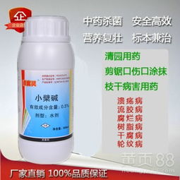 桂龙膏方的功效和作用:桂龙膏方的功效与作用,传统中药的现代应用