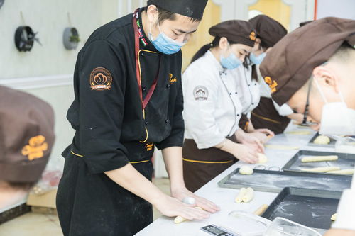 没学历最吃香的职业（没学历最吃香的职业有哪些）