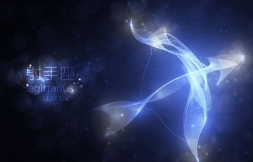 星座表十二星座查询阳历生日:精准定位你的星座,2024年十二星座查询指南(阳历生日对照表)