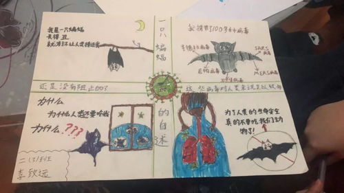 塔罗牌自学课程百度网盘：塔罗牌自学指南，如何通过百度网盘获取高效学习资源