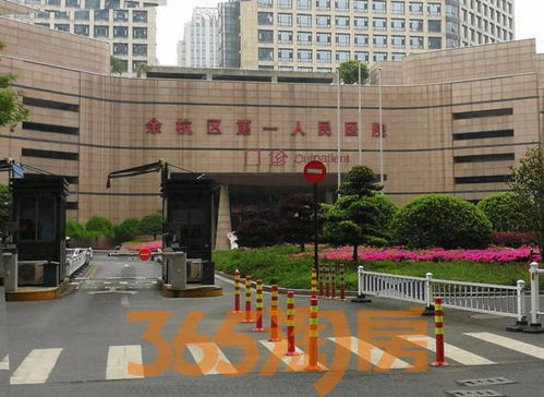 杭州市第一人民医院:杭州市第一人民医院,守护健康,引领创新