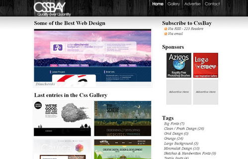 精美网页设计:精美网页设计,艺术与功能的完美融合