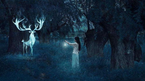 女人梦见有人来家里要钱:女人梦见有人来家里要钱,解密梦境背后的隐藏信息