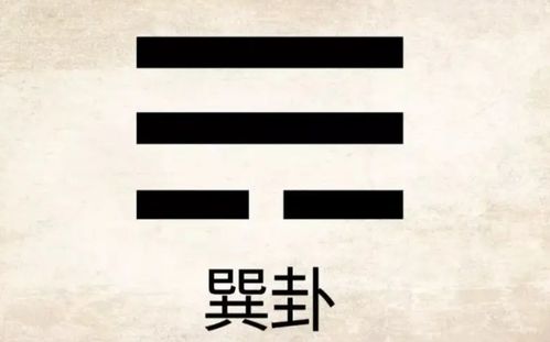 在线测卦解卦免费:免费在线测卦解卦,传统智慧与科技结合的占卜新体验