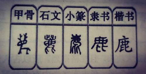 补土最旺的字:补土最旺的字,从汉字结构看健脾养生的文化密码 补土最旺的字:补土最旺的字,从汉字结构看健脾养生的文化密码