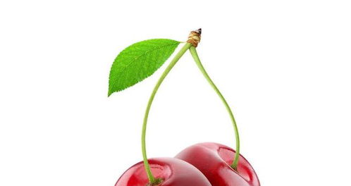 降尿酸的食物有哪些:高尿酸困扰?这些降尿酸食物或可帮您一臂之力 降尿酸的食物有哪些:高尿酸困扰?这些降尿酸食物或可帮您一臂之力