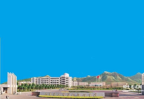 正方教务系统登录(正方教务系统登录官网青岛滨海学院) 正方教务系统登录(正方教务系统登录官网青岛滨海学院)