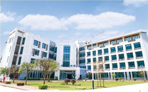 重庆轻工职业学院(重庆轻工职业学院邮政编码) 重庆轻工职业学院(重庆轻工职业学院邮政编码)