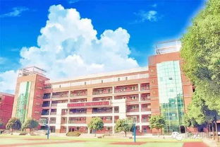 武汉前十名职业学校(武汉十大职校) 武汉前十名职业学校(武汉十大职校)