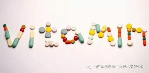 怎么判断自己缺不缺维生素b:这些身体信号暗示你可能缺乏维生素B 怎么判断自己缺不缺维生素b:这些身体信号暗示你可能缺乏维生素B