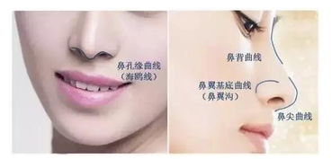 做整形手术要多少钱?整形手术价格大揭秘,影响费用的五大关键因素 做整形手术要多少钱?整形手术价格大揭秘,影响费用的五大关键因素