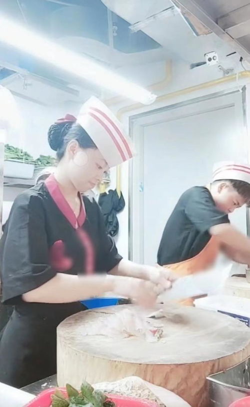 15岁上技校学什么最好(15岁上技校行吗) 15岁上技校学什么最好(15岁上技校行吗)