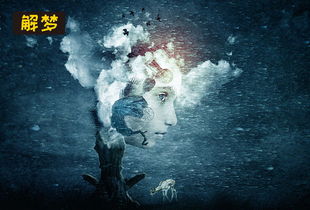 梦见蚊子咬自己被打死:梦境解析,梦见蚊子咬自己被打死,背后隐藏着什么心理暗示? 梦见蚊子咬自己被打死:梦境解析,梦见蚊子咬自己被打死,背后隐藏着什么心理暗示?