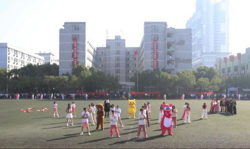 湖北科技职业学院（湖北科技职业学院教务系统登录入口）