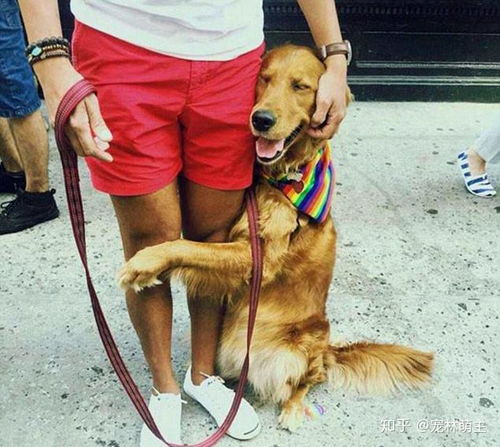 梦见自己被狗咬了腿是什么征兆:梦见自己被狗咬了腿是什么征兆? 梦见自己被狗咬了腿是什么征兆:梦见自己被狗咬了腿是什么征兆?