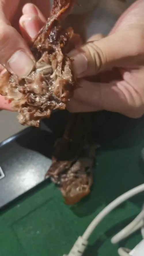 梦见蛆虫蠕动什么预兆:梦见蛆虫蠕动什么预兆 梦见蛆虫蠕动什么预兆:梦见蛆虫蠕动什么预兆